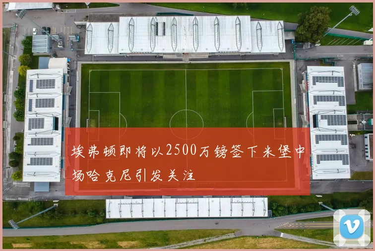 埃弗顿即将以2500万镑签下米堡中场哈克尼引发关注