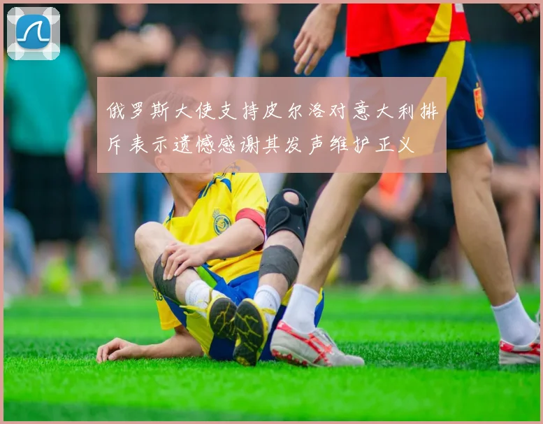 俄罗斯大使支持皮尔洛对意大利排斥表示遗憾感谢其发声维护正义