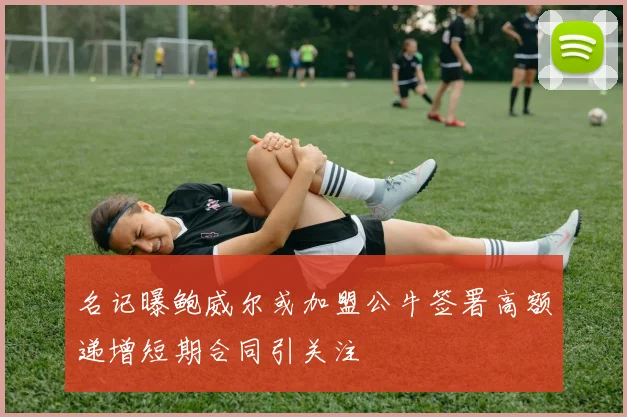 名记曝鲍威尔或加盟公牛签署高额递增短期合同引关注